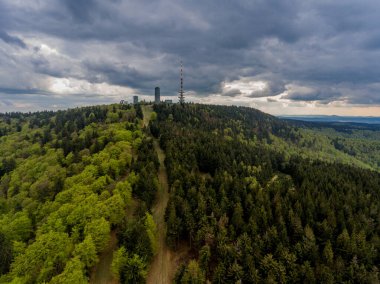 Inselsberg 'in etrafında güneşli bir günde bahar yürüyüşü - Thüringen / Almanya