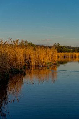 Güzel Werratal boyunca bahar gezisi. - Breitungen / Seeblick
