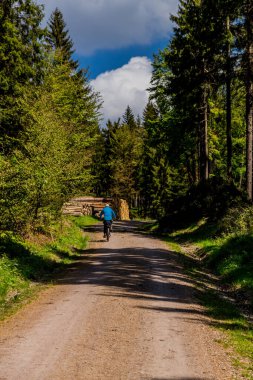 Thringer Wald / Almanya 'da Thringer Ormanı boyunca farklı yerlerde yürüyüş yapmak