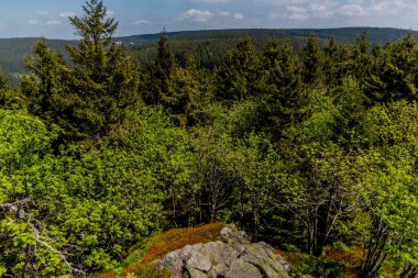 Thringer Wald / Almanya 'da Thringer Ormanı boyunca farklı yerlerde yürüyüş yapmak