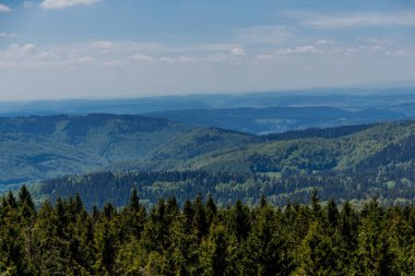 Thringer Wald / Almanya 'da Thringer Ormanı boyunca farklı yerlerde yürüyüş yapmak