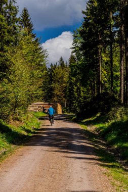 Thringer Wald / Almanya 'da Thringer Ormanı boyunca farklı yerlerde yürüyüş yapmak