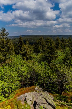 Thringer Wald / Almanya 'da Thringer Ormanı boyunca farklı yerlerde yürüyüş yapmak