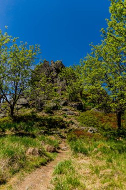 Thringer Wald / Almanya 'da Thringer Ormanı boyunca farklı yerlerde yürüyüş yapmak