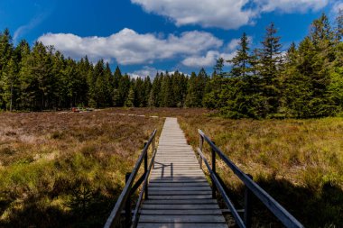 Thringer Wald / Almanya 'da Thringer Ormanı boyunca farklı yerlerde yürüyüş yapmak