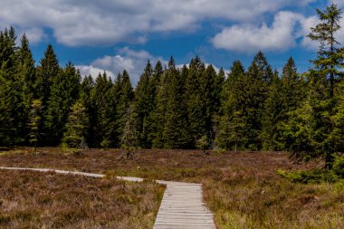 Thringer Wald / Almanya 'da Thringer Ormanı boyunca farklı yerlerde yürüyüş yapmak