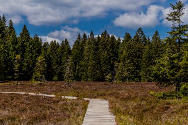 Thringer Wald / Almanya 'da Thringer Ormanı boyunca farklı yerlerde yürüyüş yapmak