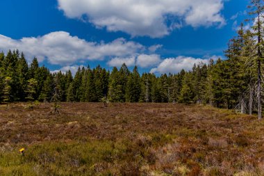 Thringer Wald / Almanya 'da Thringer Ormanı boyunca farklı yerlerde yürüyüş yapmak