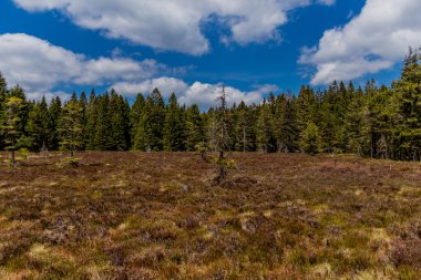 Thringer Wald / Almanya 'da Thringer Ormanı boyunca farklı yerlerde yürüyüş yapmak