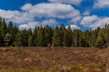 Thringer Wald / Almanya 'da Thringer Ormanı boyunca farklı yerlerde yürüyüş yapmak