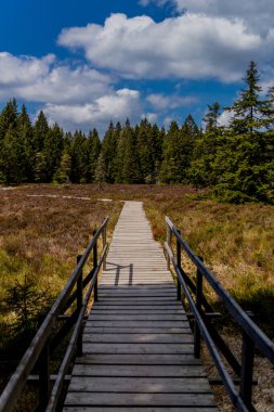 Thringer Wald / Almanya 'da Thringer Ormanı boyunca farklı yerlerde yürüyüş yapmak