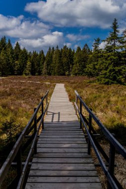 Thringer Wald / Almanya 'da Thringer Ormanı boyunca farklı yerlerde yürüyüş yapmak