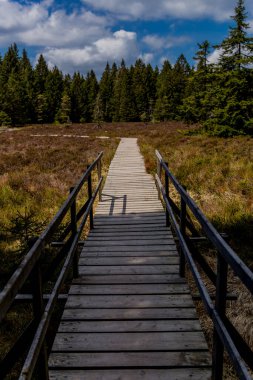 Thringer Wald / Almanya 'da Thringer Ormanı boyunca farklı yerlerde yürüyüş yapmak