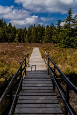 Thringer Wald / Almanya 'da Thringer Ormanı boyunca farklı yerlerde yürüyüş yapmak