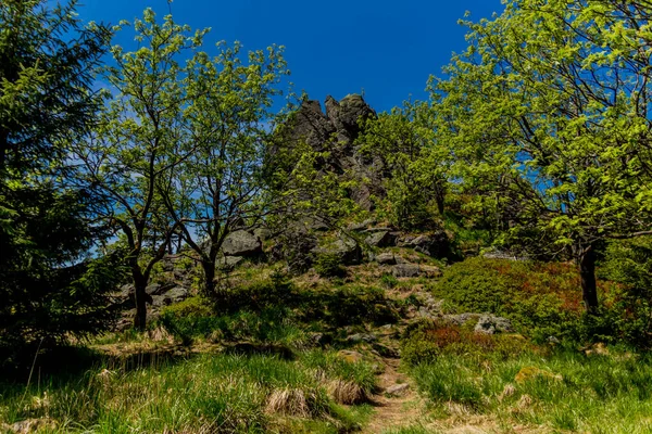 Turistika Durynském Lese Různých Místech Thringer Wald Německo — Stock fotografie