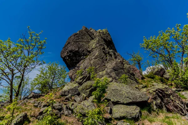 Wandern Verschiedenen Orten Durch Den Thüringer Wald Thringer Wald Deutschland — Stockfoto