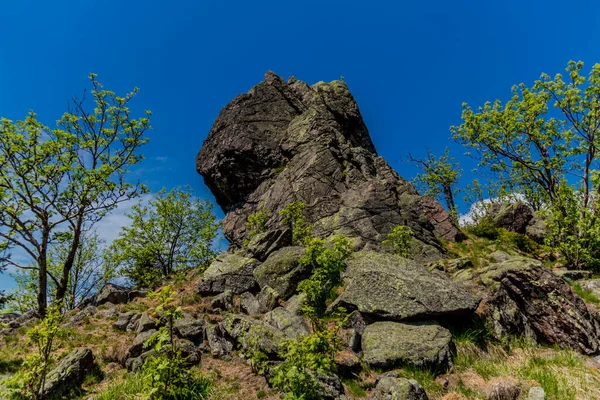 Wandern Verschiedenen Orten Durch Den Thüringer Wald Thringer Wald Deutschland — Stockfoto