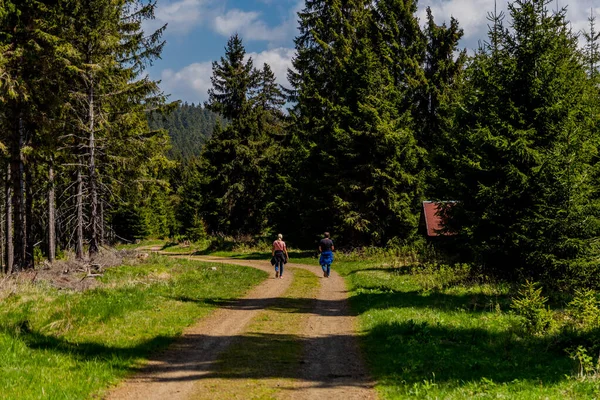 Caminhadas Diferentes Lugares Através Floresta Turíngia Thringer Wald Alemanha — Fotografia de Stock