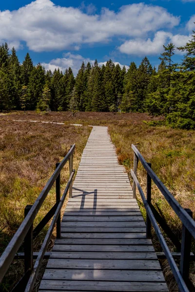 Randonnées Pédestres Dans Différents Endroits Travers Forêt Thuringe Thringer Wald — Photo