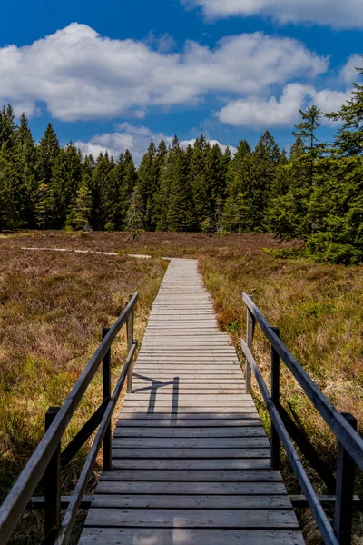Caminhadas Diferentes Lugares Através Floresta Turíngia Thringer Wald Alemanha — Fotografia de Stock