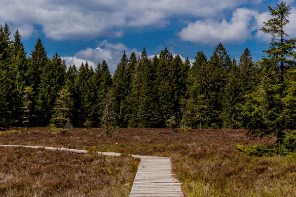 Caminhadas Diferentes Lugares Através Floresta Turíngia Thringer Wald Alemanha — Fotografia de Stock
