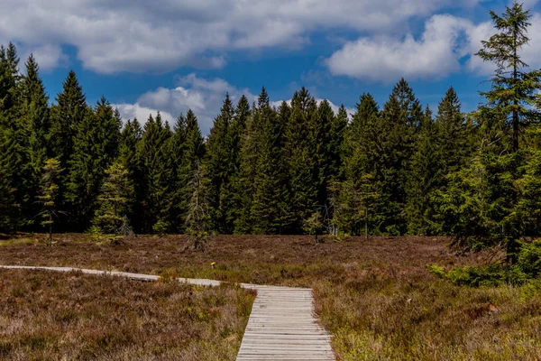 Turistika Durynském Lese Různých Místech Thringer Wald Německo — Stock fotografie