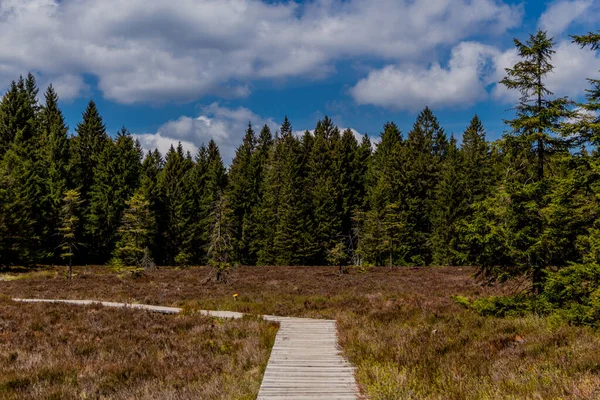 Randonnées Pédestres Dans Différents Endroits Travers Forêt Thuringe Thringer Wald — Photo