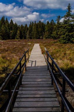 Thringer Wald / Almanya 'da Thringer Ormanı boyunca farklı yerlerde yürüyüş yapmak