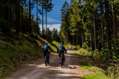 Thringer Wald / Almanya 'da Thringer Ormanı boyunca farklı yerlerde yürüyüş yapmak