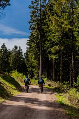 Thringer Wald / Almanya 'da Thringer Ormanı boyunca farklı yerlerde yürüyüş yapmak