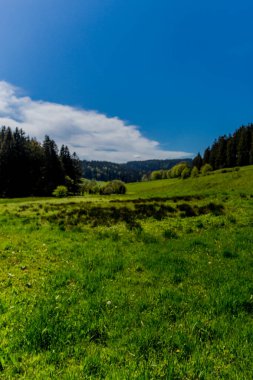 Thringer Wald / Almanya 'da Thringer Ormanı boyunca farklı yerlerde yürüyüş yapmak