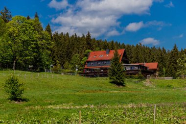 Thringer Wald / Almanya 'da Thringer Ormanı boyunca farklı yerlerde yürüyüş yapmak