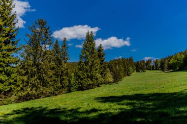 Thringer Wald / Almanya 'da Thringer Ormanı boyunca farklı yerlerde yürüyüş yapmak