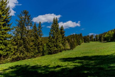 Thringer Wald / Almanya 'da Thringer Ormanı boyunca farklı yerlerde yürüyüş yapmak
