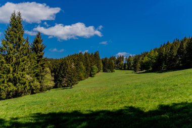 Thringer Wald / Almanya 'da Thringer Ormanı boyunca farklı yerlerde yürüyüş yapmak