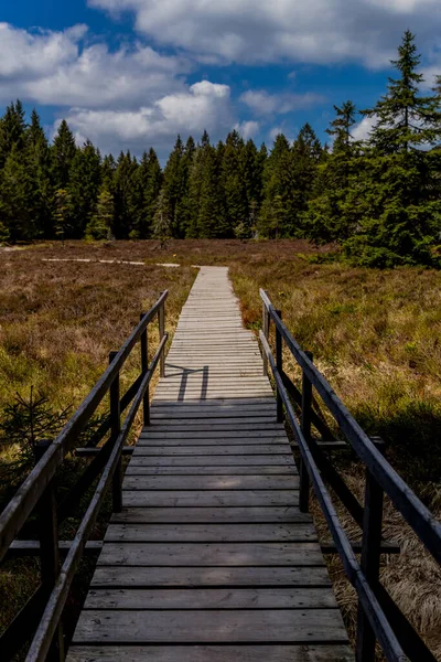 Randonnées Pédestres Dans Différents Endroits Travers Forêt Thuringe Thringer Wald — Photo