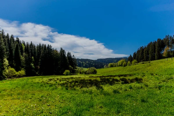 Hiking Different Places Thuringian Forest Thringer Wald Germany — Stock Photo, Image