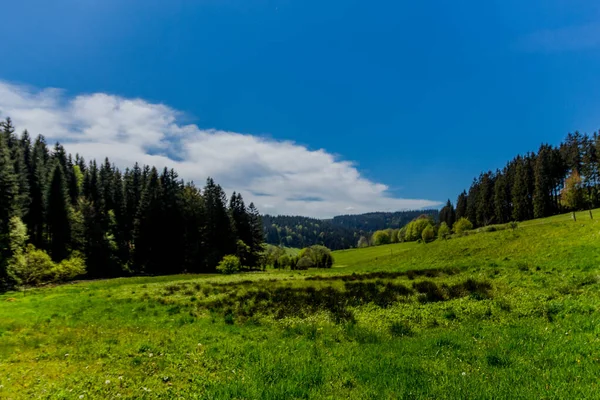 Senderismo Diferentes Lugares Través Del Bosque Turingia Thringer Wald Alemania —  Fotos de Stock