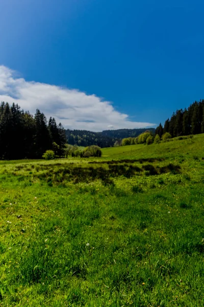 Wandern Verschiedenen Orten Durch Den Thüringer Wald Thringer Wald Deutschland — Stockfoto