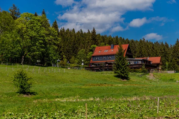 Turystyka Różnych Miejscach Przez Las Turyngii Thringer Wald Niemcy — Zdjęcie stockowe