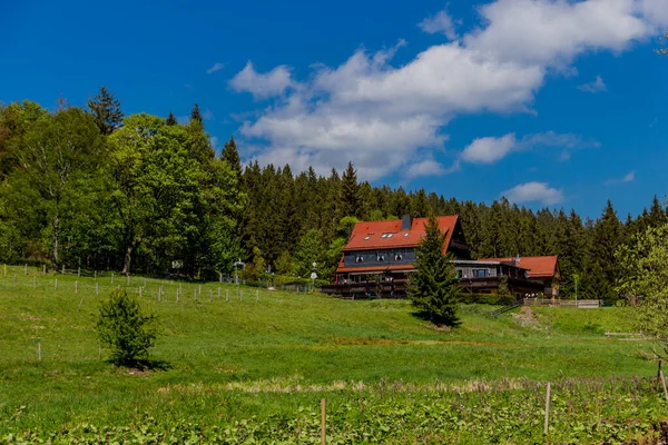 Turystyka Różnych Miejscach Przez Las Turyngii Thringer Wald Niemcy — Zdjęcie stockowe