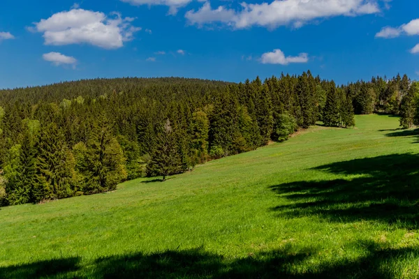 Turistika Durynském Lese Různých Místech Thringer Wald Německo — Stock fotografie