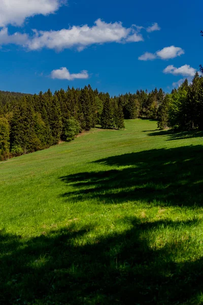 Randonnées Pédestres Dans Différents Endroits Travers Forêt Thuringe Thringer Wald — Photo