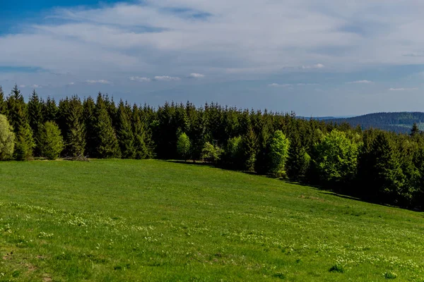 Senderismo Diferentes Lugares Través Del Bosque Turingia Thringer Wald Alemania —  Fotos de Stock