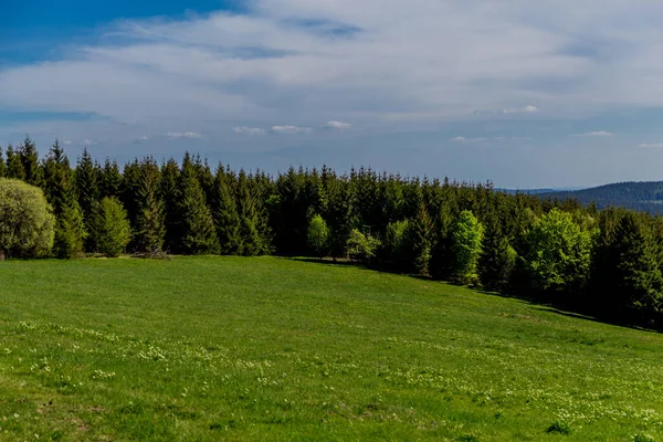 Senderismo Diferentes Lugares Través Del Bosque Turingia Thringer Wald Alemania —  Fotos de Stock