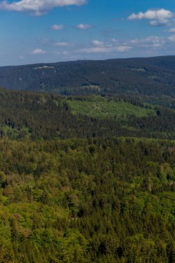 Thüringen Ormanı - Thüringen Ormanı / Almanya 'da Zella-Mehlis manzaralı Ruppberg üzerinde yürüyüş