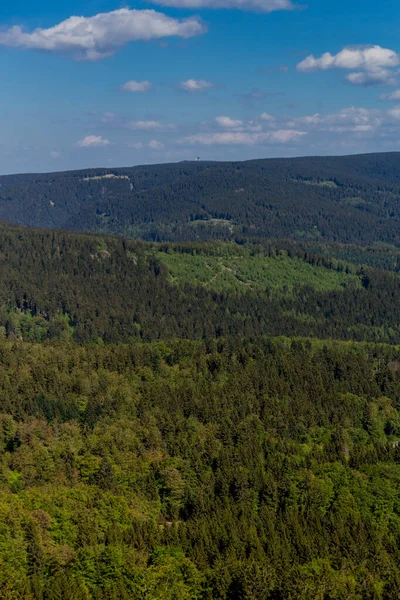 Randonnée Sur Ruppberg Avec Vue Sur Zella Mehlis Dans Forêt — Photo