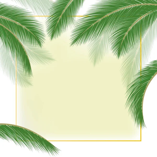 Feuilles de cocotier sur fond d'été blanc et jaune. Illustration vectorielle — Image vectorielle