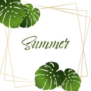 Beyaz izole arkaplanı olan egzotik tropikal yaz manzarası. Vektör illüstrasyonu.