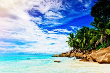 Tropik ada. Seychelles.Toned resim.